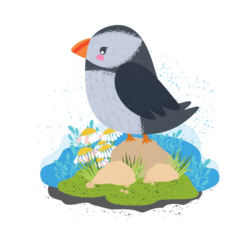 An illustrated puffin standing among flowers